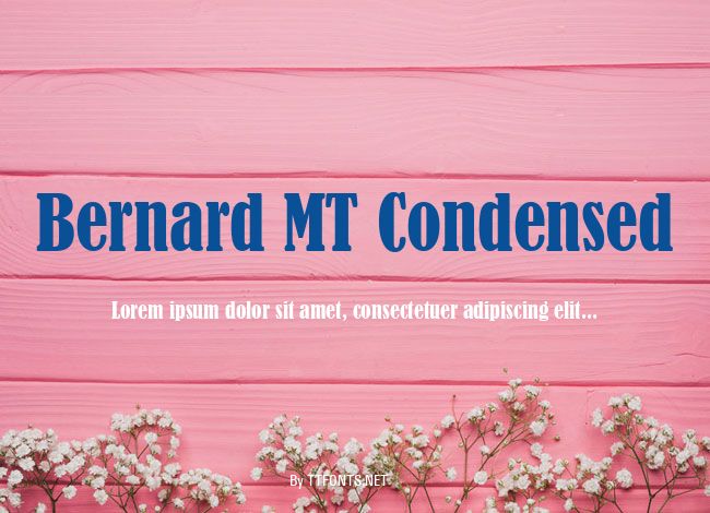 Bernard MT Condensed example